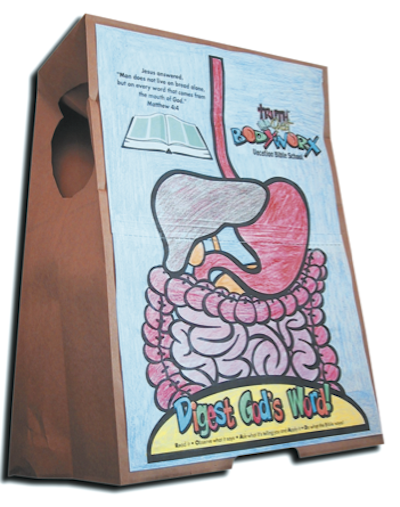 Digestive System Vest Craft